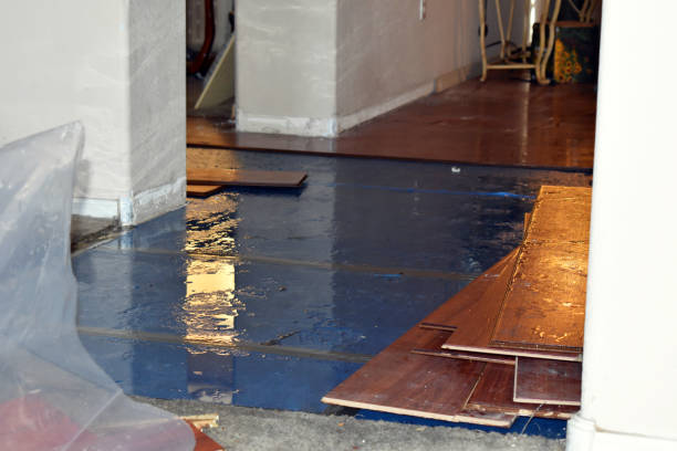 Professional Basement Water Removal technician working in Johannesburg, CA